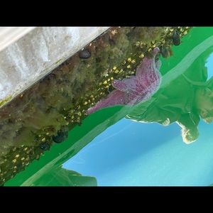 Meet your Posher, Micaiah